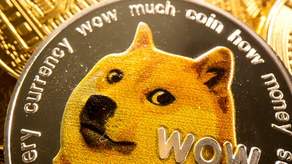 Câinele Doge, care a cucerit internetul și criptomonedele, a murit
