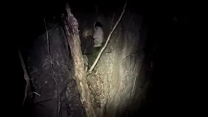 Creatura nemaivăzută descoperită într-o peșteră: Are colți ascuțiți ca lamele și solzi puternic crestați pe burtă și a fost surprinsă în Thailanda