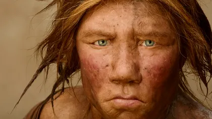 Descoperirea care schimbă tot ceea ce știai despre oamenii de Neanderthal. Așa se rescrie istoria umanității