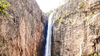 Descoperirea unei cascade schimbă ceea ce credeam despre evoluție: Ce au aflat cercetătorii