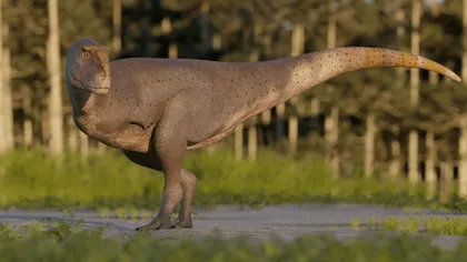 S-a descoperit o nouă specie de dinozaur cu brațe ridicol de mici VIDEO