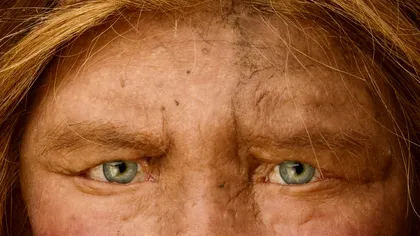 Cazul singurului individ cunoscut ai cărui părinți erau din două specii diferite - FOTO