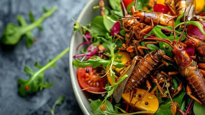 Salată de greieri cu spaghetti din plante de apă: Mâncarea care va salva planeta în viitor, imaginată de inteligența artificială