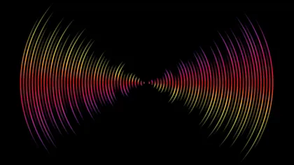 Animalele cu cel mai bun auz: aud sunete mai înalte de 15 ori decât cele percepute de oameni