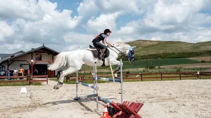 Evoluția echitației în România: Sportul în care animalul și omul sunt una și aceeași ființă