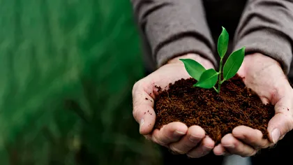 Un îngrășământ vital pentru agricultura mondială, vinovat pentru încălzirea globală