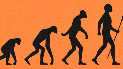 ADN-ul uman și cel al cimpanzeului este identic în proporție de 98,8% – deci, cum suntem atât de diferiți?