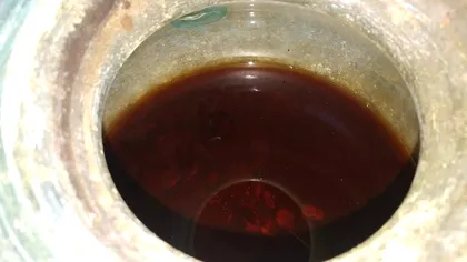 Descoperire unică: Cel mai vechi vin lichid, descoperit în Spania