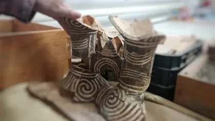 Muzeul din România care a fost uitat: Odată avea colecții impresionante de fildeși, iar acum e în paragină