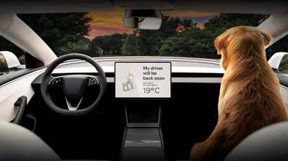 Probleme grave la 1.8 milioane de Tesla. De ce sunt chemate masiv în service, riscul proprietarilor