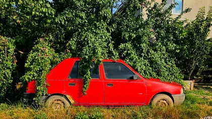 De luni, 19 august, începe o nouă etapă Rabla Plus. Ce sume sunt alocate. Ghid complet pentru românii care vor o mașină nouă