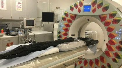 Până unde a ajuns tehnologia: Cercetătorii au descoperit ce a mâncat un crocodil mumificat, acum 3.000 de ani