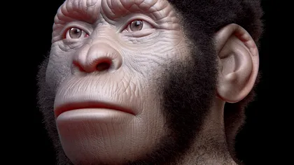 Controversatul documentar de pe Netflix din care aflăm originile strămoșilor noștri: Cine era, de fapt, Homo Naledi