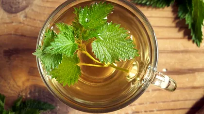 Trusa de prim ajutor naturală din bucătăria ta: Salata verde, laptele și mierea, printre remediile surprinzătoare