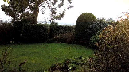 Descoperire uluitoare în grădina unei femei: O placă romană valorează aproape 20.000 de dolari