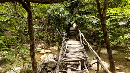 Testul punții instabile: Provocarea care dezvăluie dacă ai un IQ ridicat