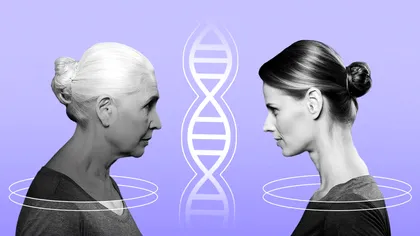 Testul care-ți dezvăluie vârsta biologică reală: Cum funcționează