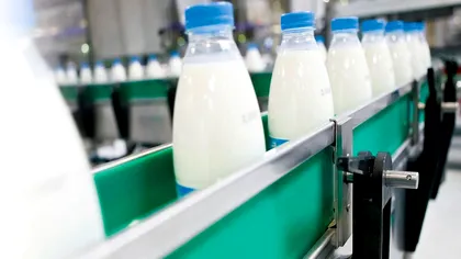 Concedieri la o mare fabrică din România. Se pune lacătul pe uși, deși e lider în industria lactatelor