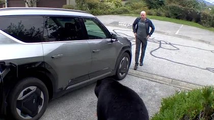 VIDEO: Reacția unui bărbat când se întâlnește față în față cu un urs negru. Ce l-a salvat