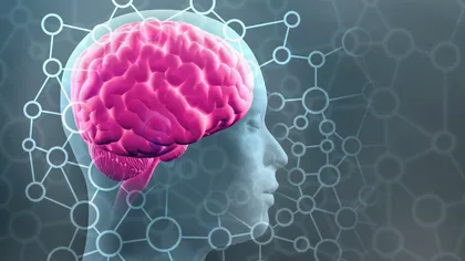Trei lucruri pe care un neurocercetător nu le-ar face niciodată deoarece „îți afectează creierul”