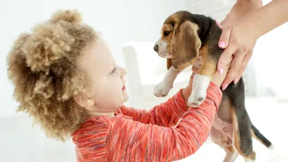 Dragostea cățelului: Un studiu arată că interacțiunile cu câinii cresc nivelul hormonului iubirii la copii