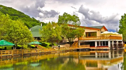 Seceta a transformat „Delta din Carpați” într-un peisaj arid: Specii rare de păsări, în pericol