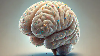 Microplasticele și nanoplasticele, descoperite în cantități alarmante în creierul uman