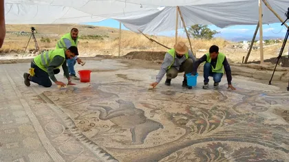 Descoperire incredibilă în Turcia: Un mozaic roman uriaș, găsit în timpul grădinăritului