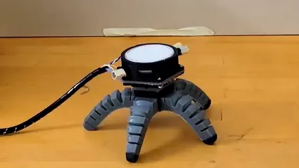 Inginerii au creat un „robociupercă” care se mișcă singură: Ciupercile și tehnologia, un pas spre viitor
