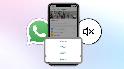 Cum să folosești funcția „Mute” în WhatsApp pentru grupuri zgomotoase. Așa îți treci distragerile pe silențios