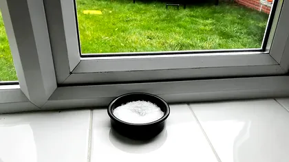 De ce pun oamenii un bol cu sare la fereastră iarna. Cât de eficient este, de fapt, potrivit specialiștilor