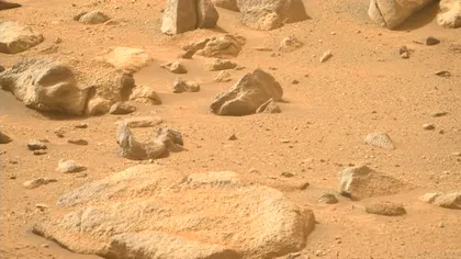 Descoperirea bizară de pe Marte: o față umană văzută într-o formațiune stâncoasă stârnește imaginația oamenilor