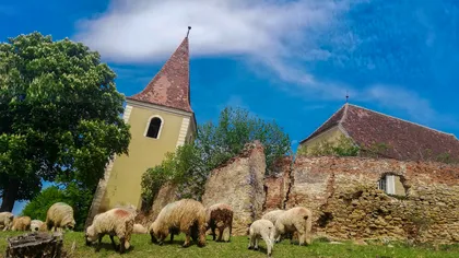 Turnurile înclinate din România care rivalizează cu turnul din Pisa: comori neprețuite, de la cel rusesc la Turnul Trompeților