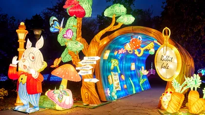 Unde ieșim în București: Evenimente în primul weekend din noiembrie 2024