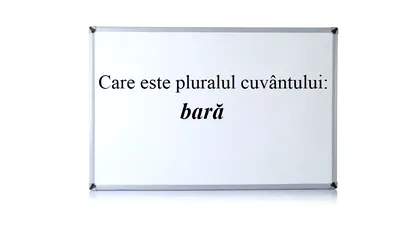 Care este pluralul cuvântului „bară”. Răspunsul pare simplu, dar este mai complicat decât cred românii
