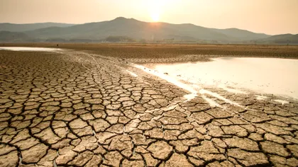 Avertisment sumbru pentru agricultură: Europa riscă să rămână fără terenuri arabile până în 2050