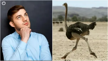 Ce înseamnă cu adevărat expresia „A avea stomac de struț”. Mulți români o folosesc destul de des