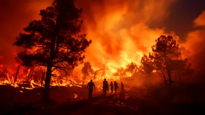 2024, aproape sigur cel mai fierbinte an din istorie: temperatura globală depășește pragul de 1,5°C