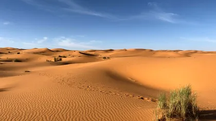 Cum a secat Deșertul Sahara: de la paradisul verde de acum 10.000 de ani la cea mai aridă suprafață de pe Terra din prezent