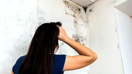 Mucegaiul din casă: cât de periculos este cu adevărat și când ar trebui să acționezi