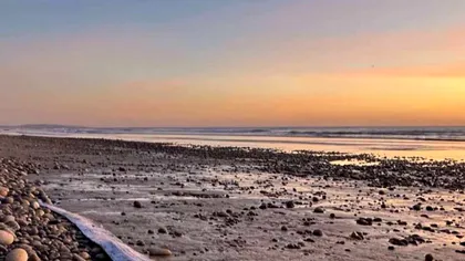 ”Peștele Apocalipsei”, care apare înaintea cutremurelor catastrofale, observat pentru a doua oară pe o plajă. Dimensiunea lui ajunge și la 11 metri lungime