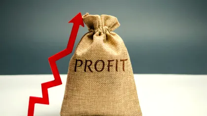 Aici merită să te angajezi, să ai siguranța locului de muncă: Cele mai valoroase companii din România în 2024