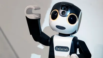Un robot a fost „găsit mort” la locul de muncă și nimeni nu-și explică ce s-a întâmplat