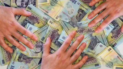 Afacerea care aduce de patru ori mai mulți bani decât imobiliarele în România