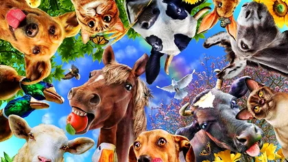 Animalul pentru care primeşti amendă record, în România. Nu ai voie să-l răneşti, legea de care este bine să ştii