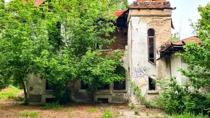 Bijuteria devenită ruină: povestea conacului abandonat din Parcul Tineretului din Capitală. Artista Maria Tănase ar fi locuit aici
