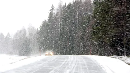 Iarna sibieriană se întoarce în România. Ciclonul polar ajunge în ţara noastră, unde va ninge zile la rând