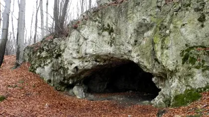 Europenii mâncau creierele inamicilor în urmă cu 18.000 de ani. Realitatea canibală de pe aceste meleaguri în preistorie