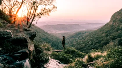 Singurul animal de care se tem australienii. Pare blând, dar este extrem de periculos