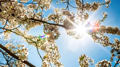 Echinocțiul de primăvară 2025: De ce este o zi specială în calendarul astronomic și spiritual